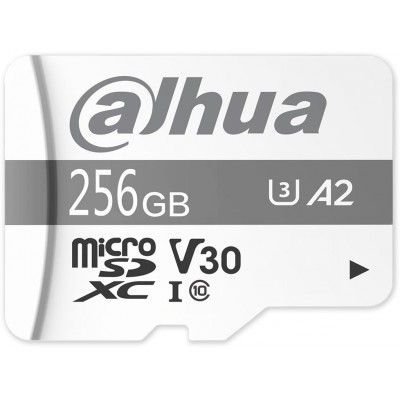 TF-P100/256G paměťová karta MicroSDXC 256GB